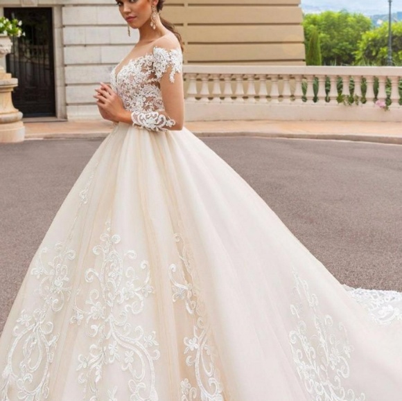 Dresses & Skirts - Gorgeous lace applique organza wedding gown